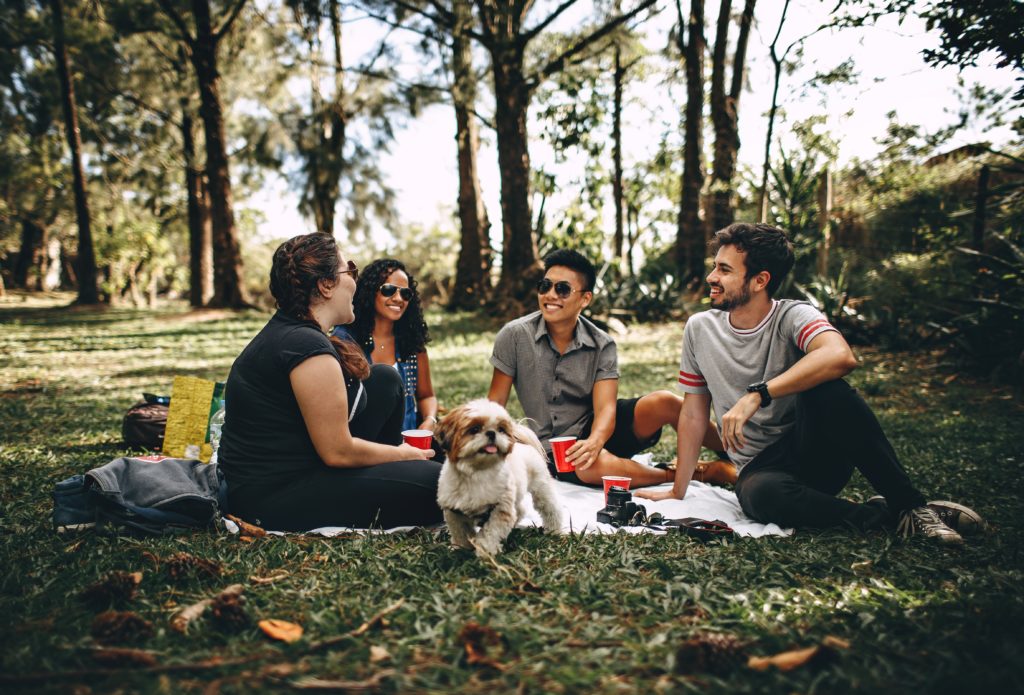 Two girls, to boys, and a puppy having a picnic.
