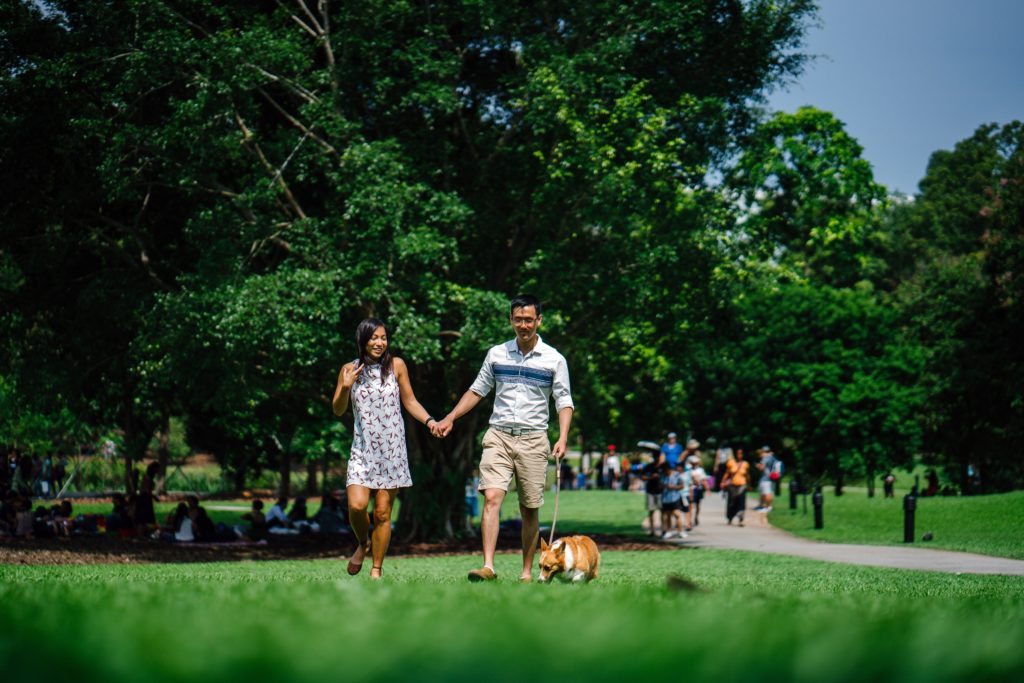A man and woman walking their dog in a park.