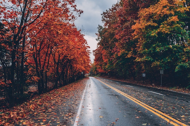 road with fall colors on either side
